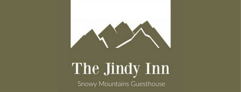 jindyinn471logo