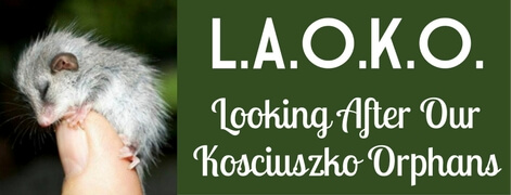 laoko471logo