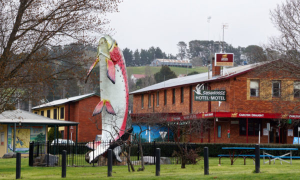 The Snow Goose Hotel is a classic Australian country town hotel.