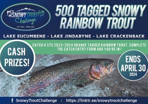 snowy trout challenge nsw 2023-2024 jindabyne